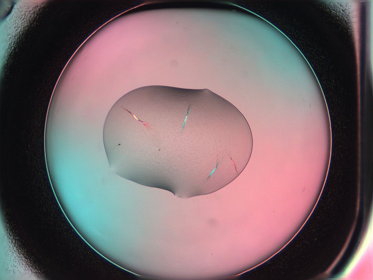 05dp_D6_ImagerDefaults_7.jpg