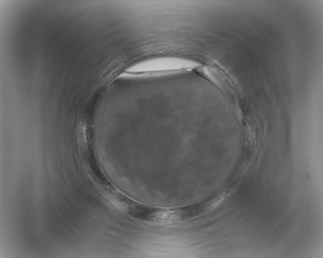 X0000054350117200508190138.png
