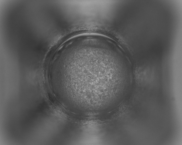 X0000052280679200507132029.png