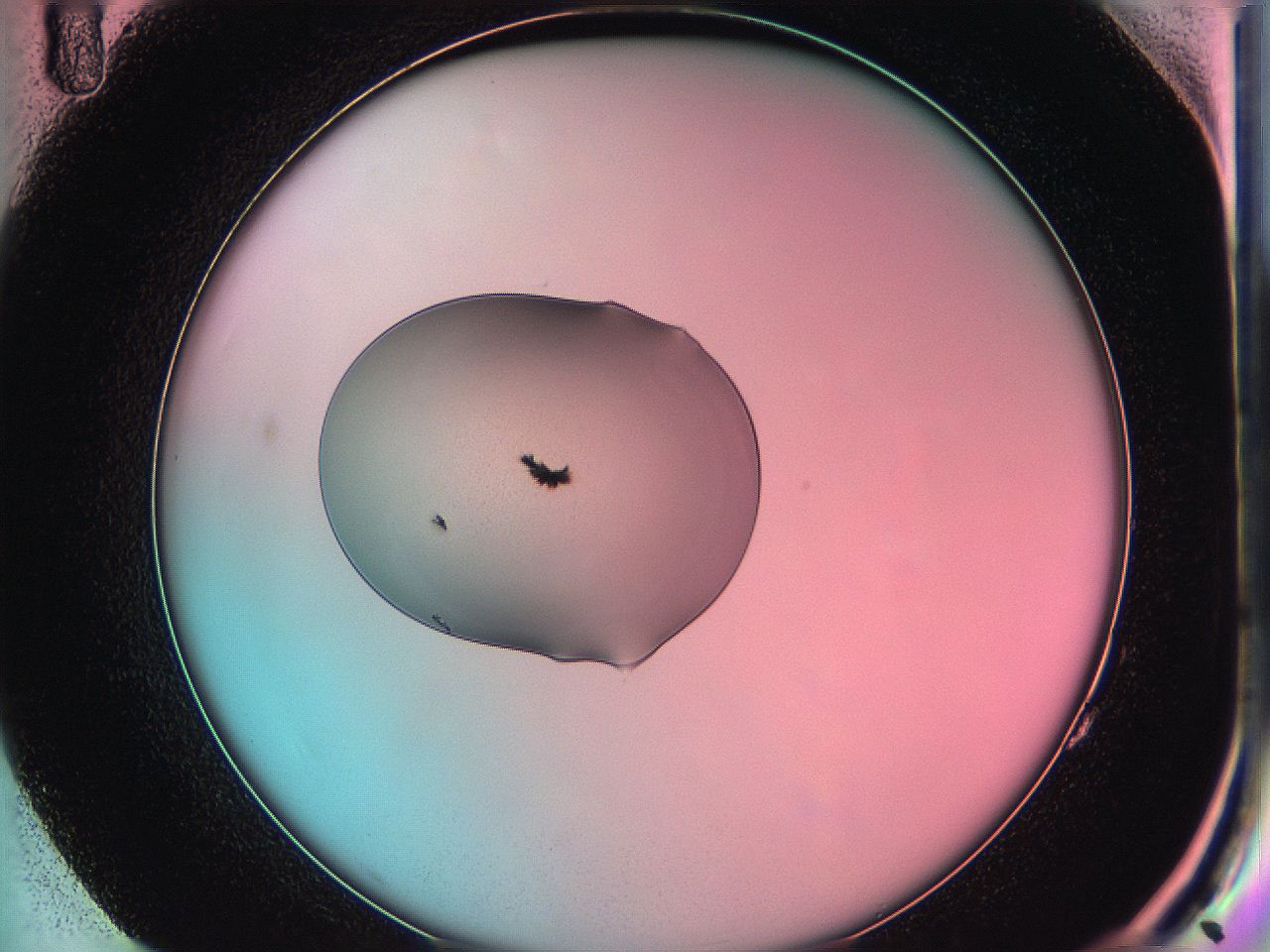 05dp_G11_ImagerDefaults_7.jpg