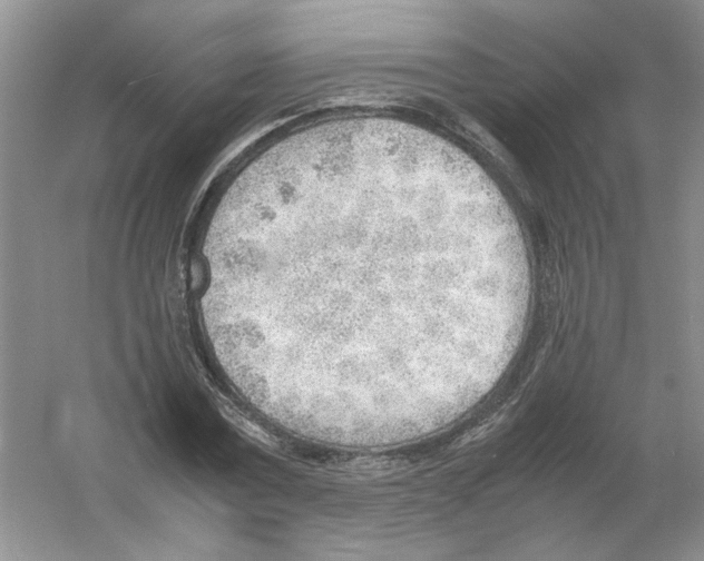 X0000054270779200508261915.png