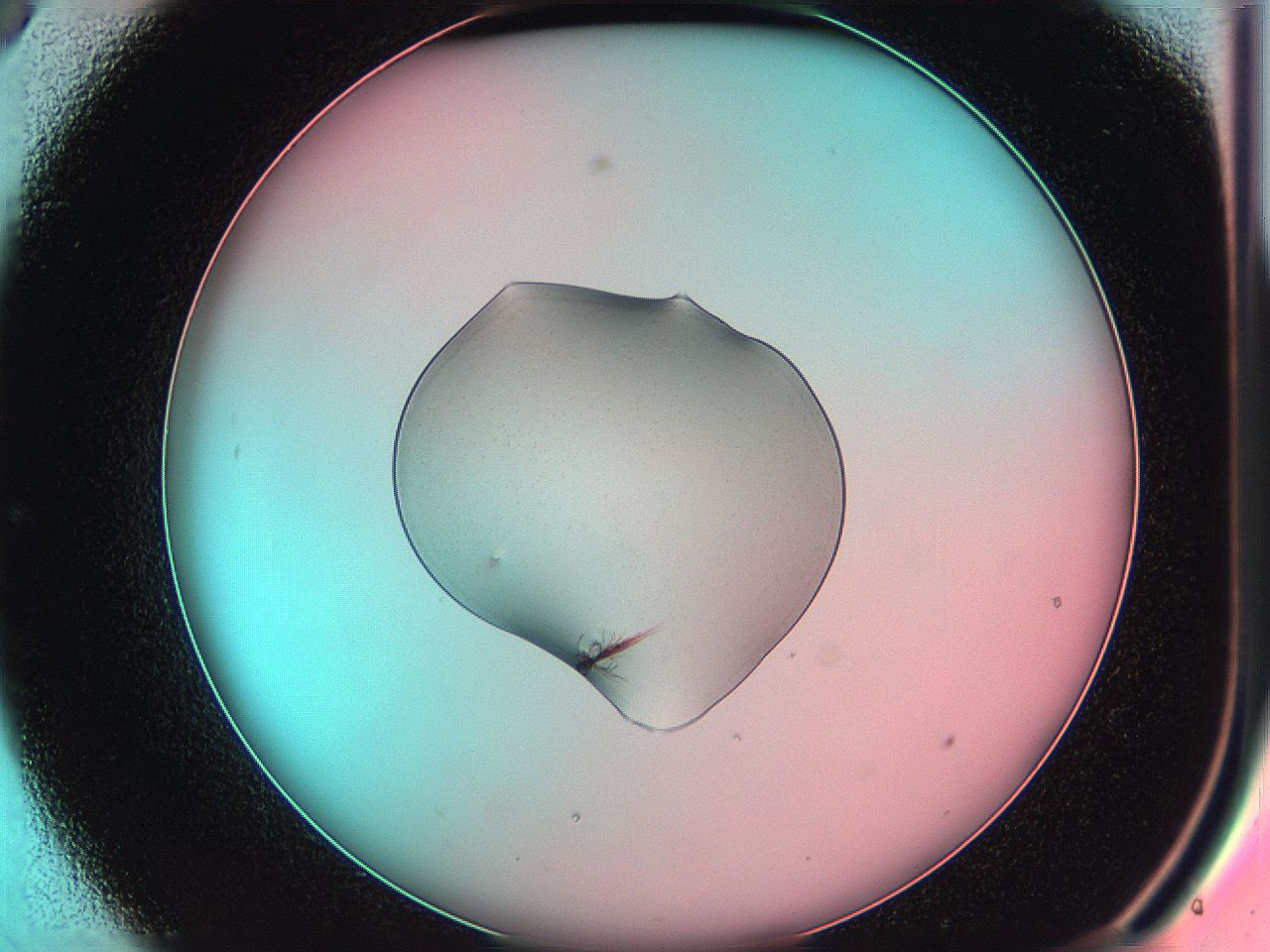 05dp_C9_ImagerDefaults_7.jpg
