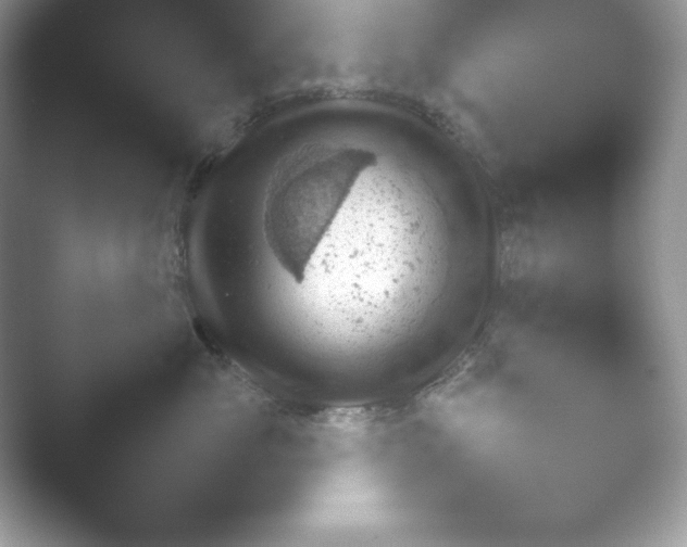 X0000052450765200507211314.png