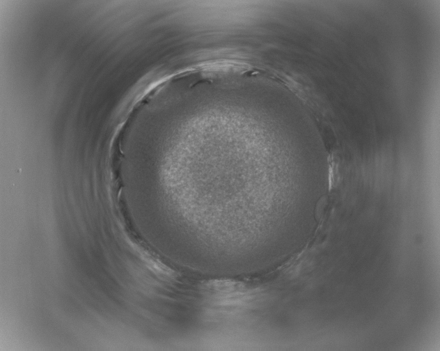 X0000054300339200508042316.png