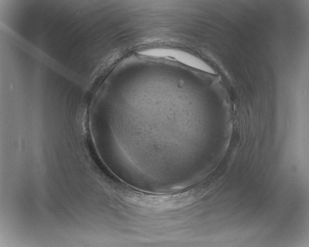 X0000054300023200508042322.png