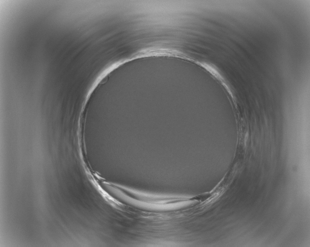 X0000054351438200508190117.png