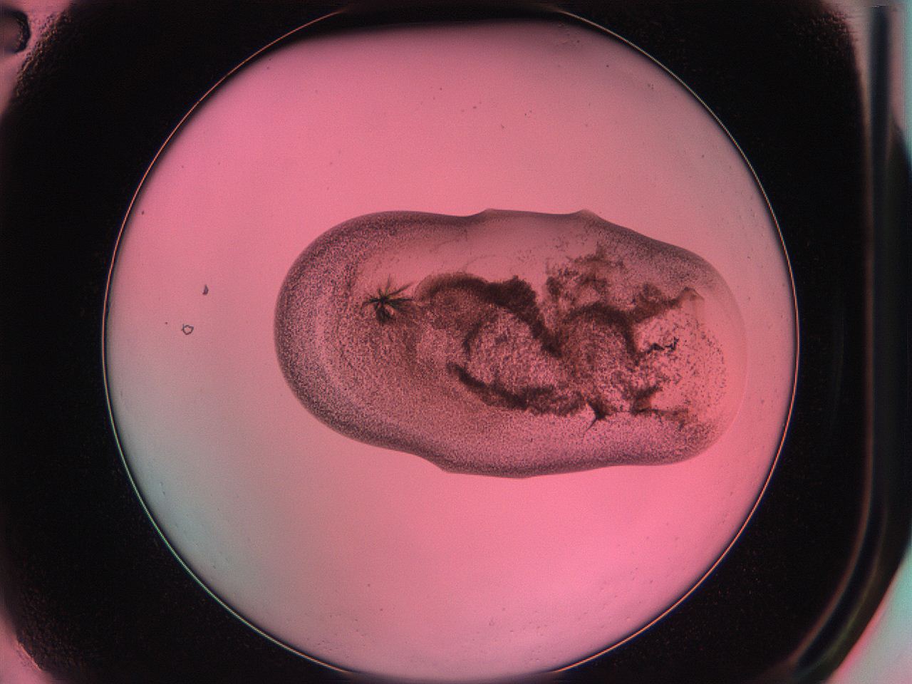 05dp_A2_ImagerDefaults_7.jpg