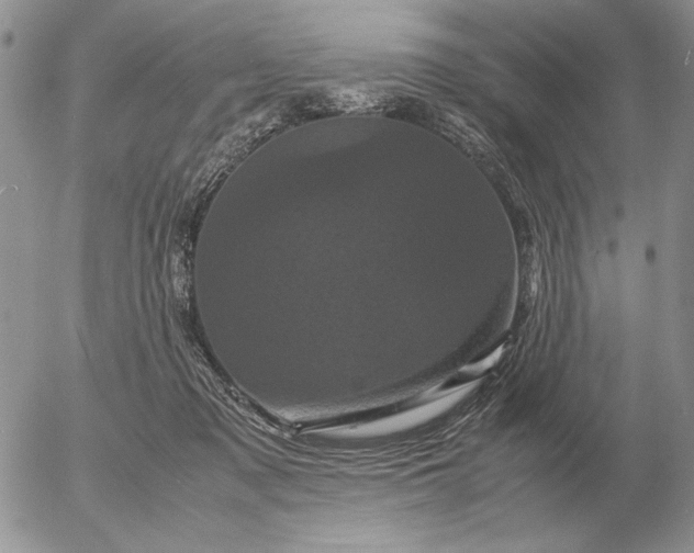 X0000054170317200508101806.png