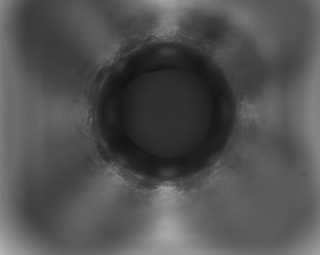 X0000054730428200508171857.png