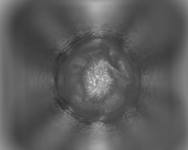 X0000052150666200507051953.png