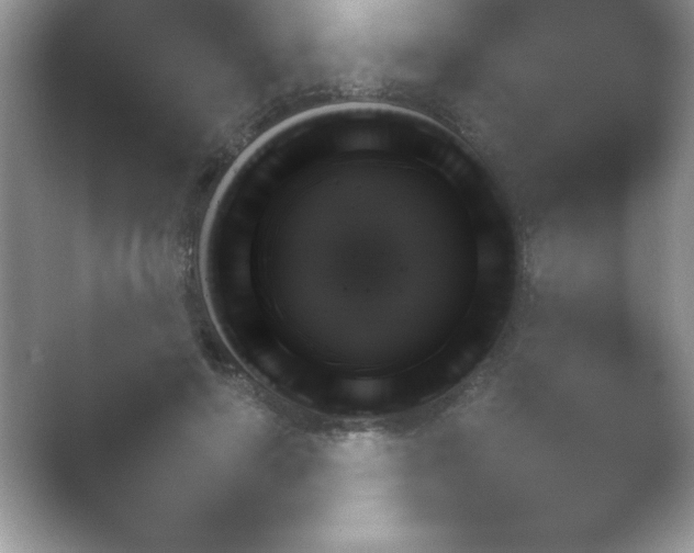 X0000054730645200508171853.png