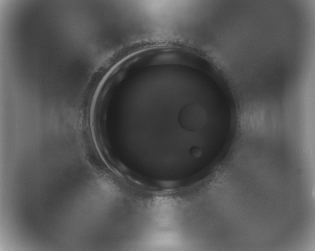 X0000054730636200508171853.png