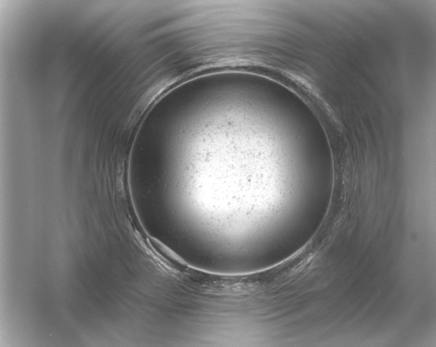 X0000054301273200508042301.png