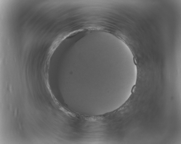 X0000054350241200508190135.png