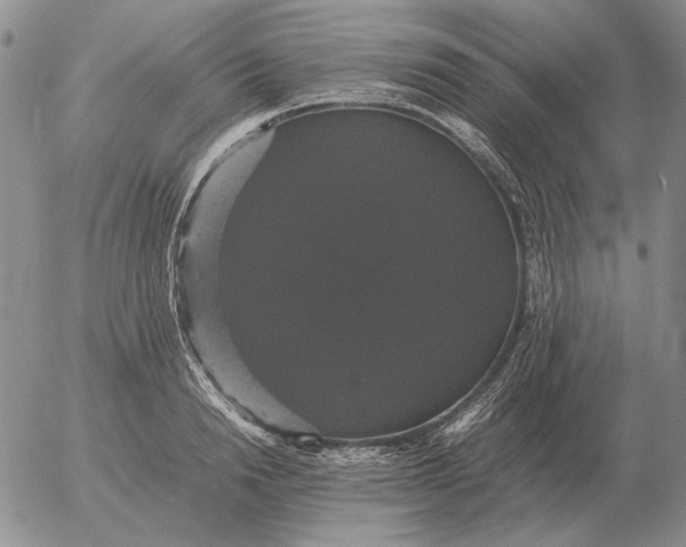 X0000054170846200508101757.png