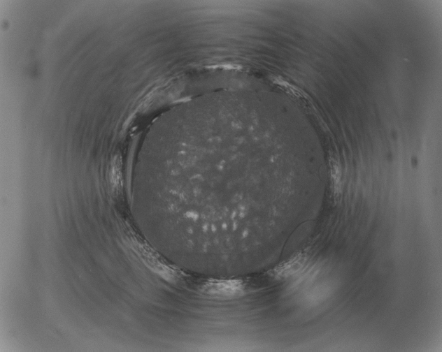 X0000054170665200508101801.png