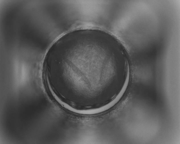 X0000045451418200502011645.png