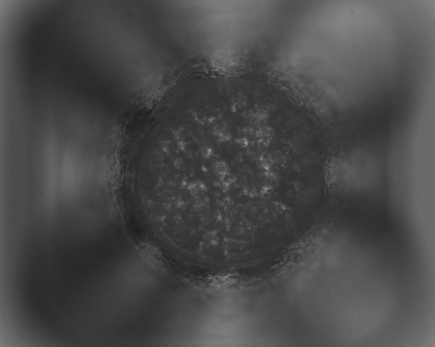 X0000047500703200503161513.png