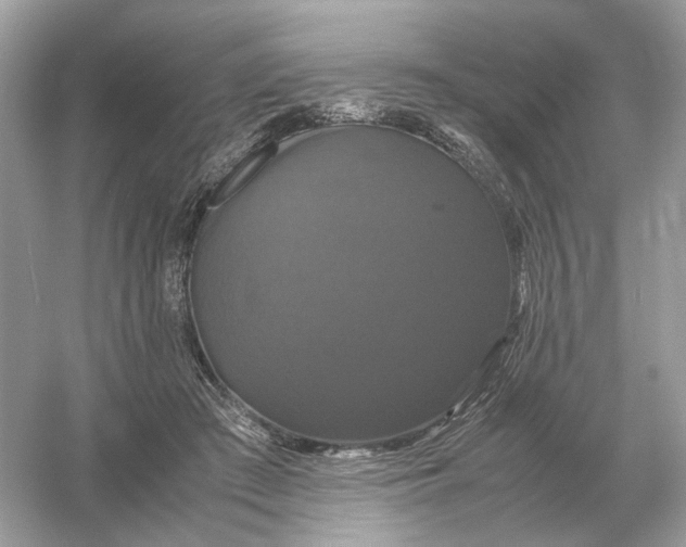 X0000054350409200508190133.png