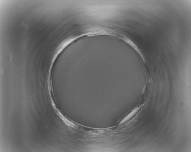 X0000054351485200508190115.png