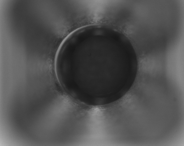 X0000054730274200508171859.png