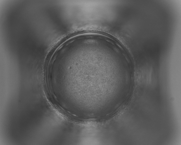 X0000052280437200507132033.png