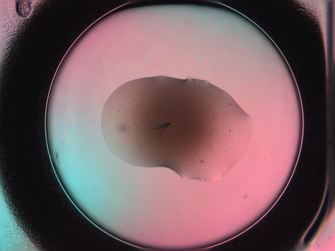 05dr_A11_ImagerDefaults_7.jpg