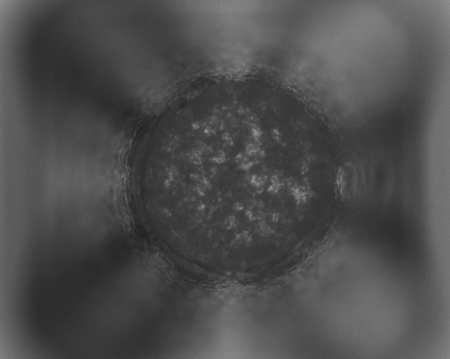 X0000047501059200503161507.png