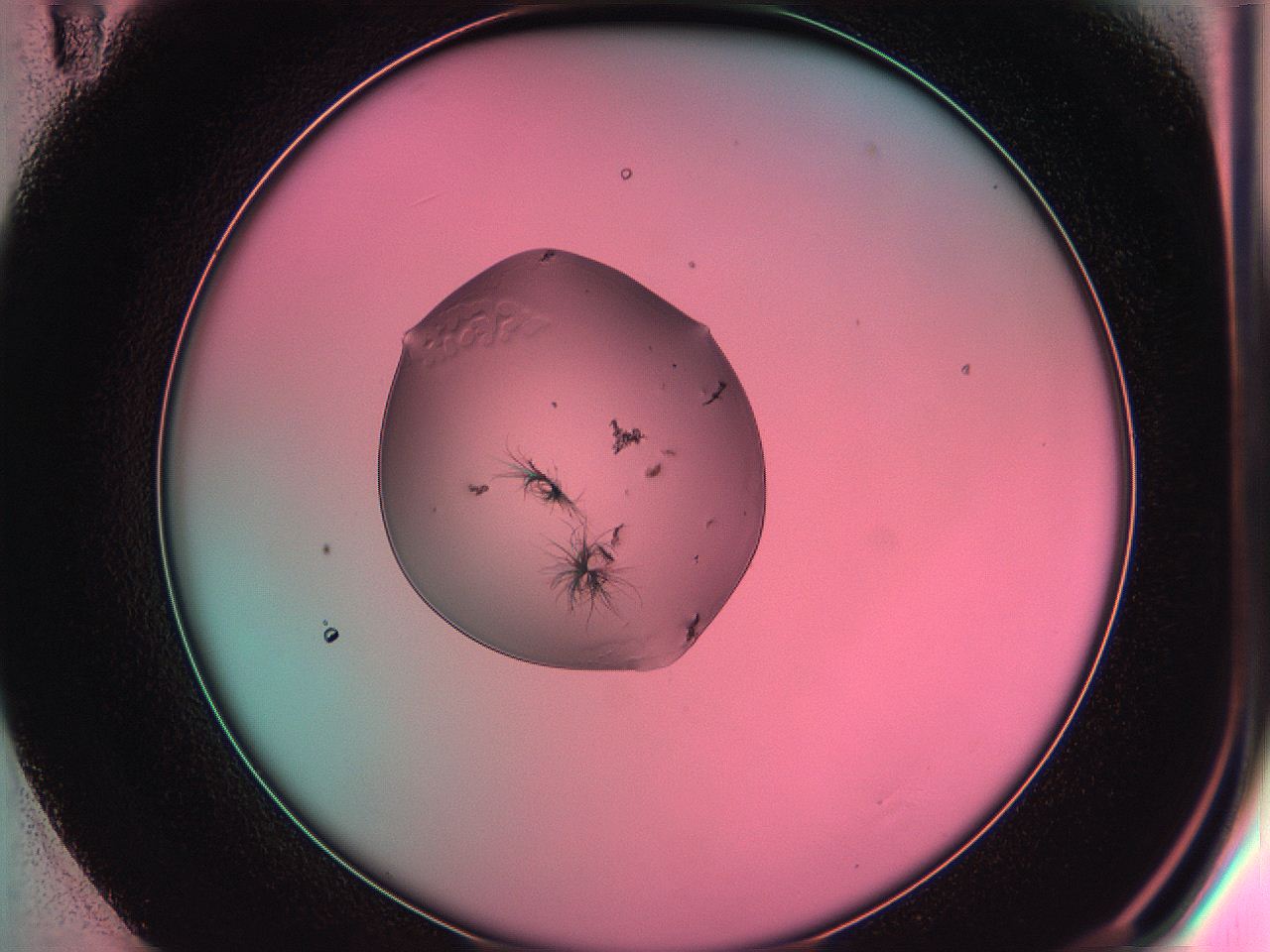 05dr_E11_ImagerDefaults_6.jpg