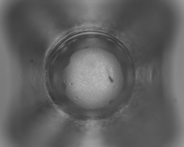 X0000052150101200507052002.png