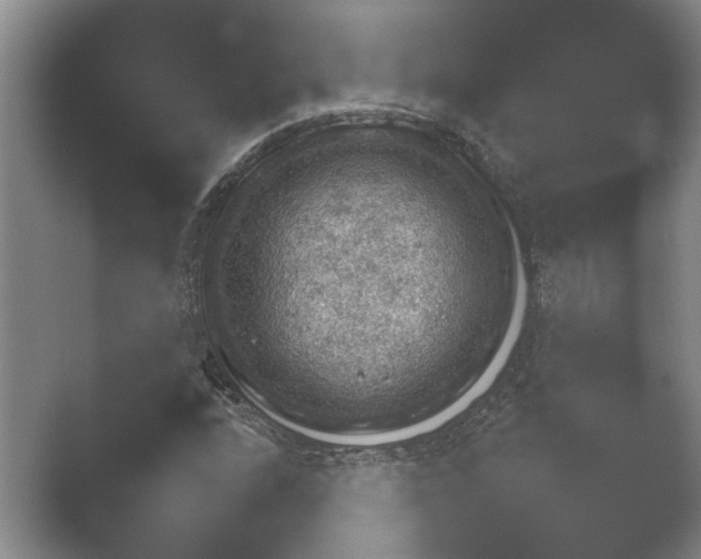 X0000052151208200507051942.png