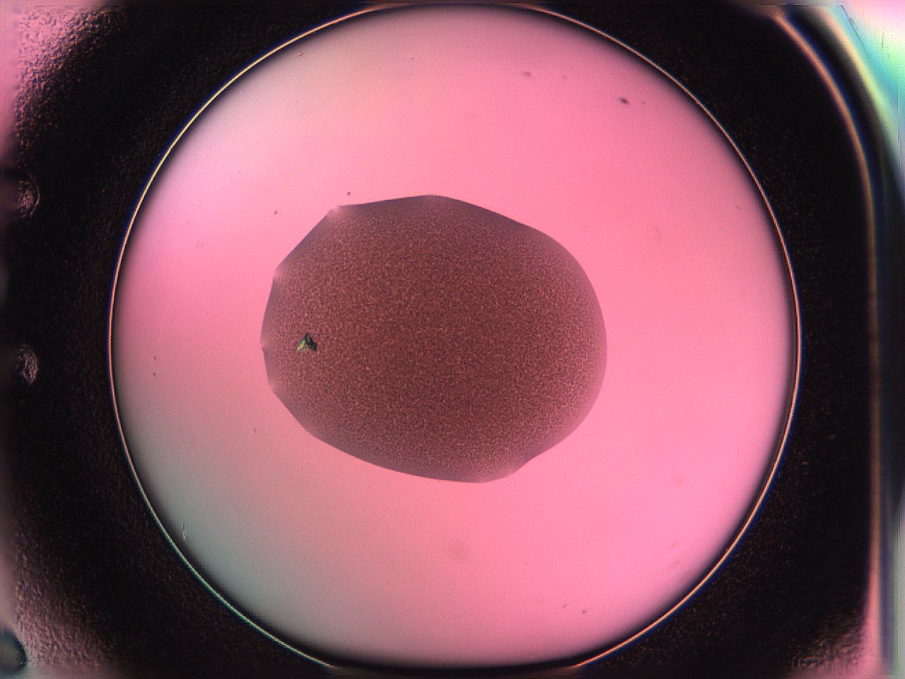 05dr_E6_ImagerDefaults_6.jpg