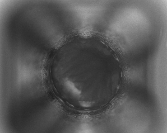 X0000045390649200501241404.png