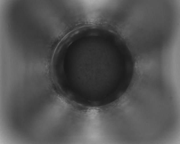 X0000054730462200508171856.png