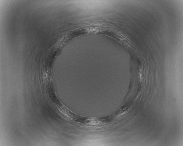 X0000054350601200508190130.png