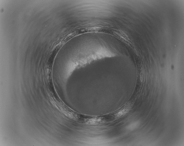 X0000054170366200508101805.png