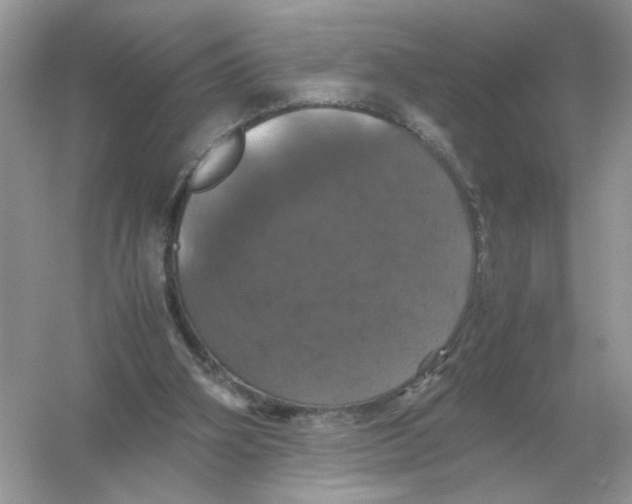 X0000054350106200508190138.png