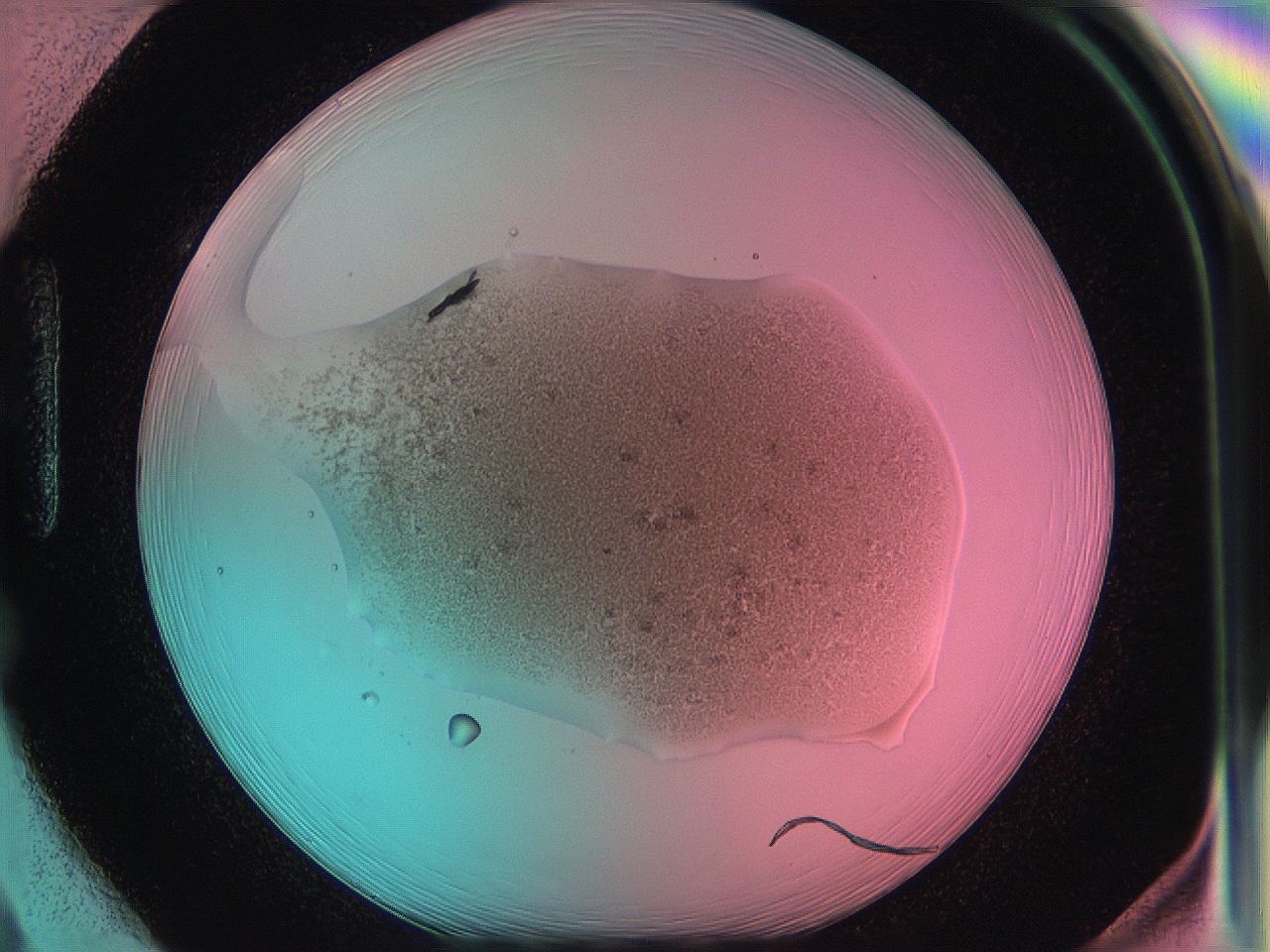 05dr_H2_ImagerDefaults_4.jpg