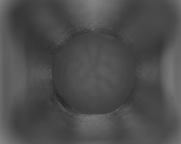 X0000051540036200506281750.png
