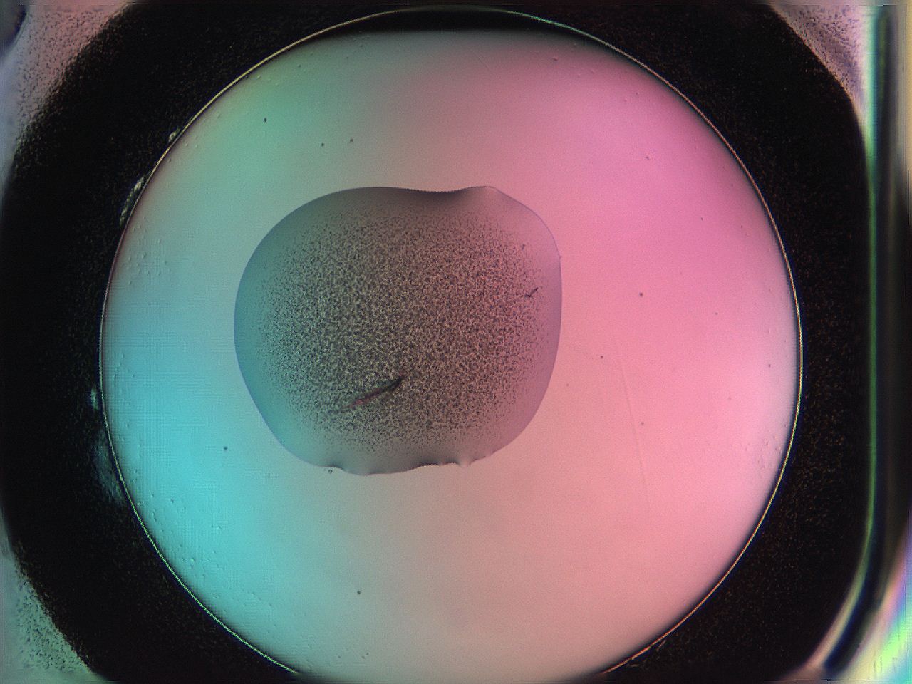 05dr_H3_ImagerDefaults_6.jpg