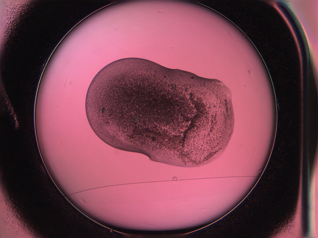 05dr_A1_ImagerDefaults_4.jpg