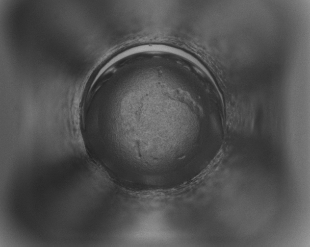 X0000048530100200503171521.png