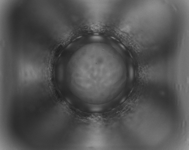 X0000044400712200412290431.png