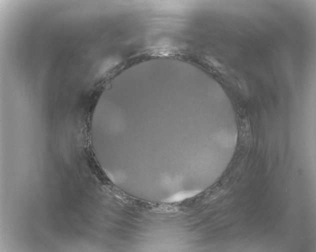 X0000054351446200508190116.png