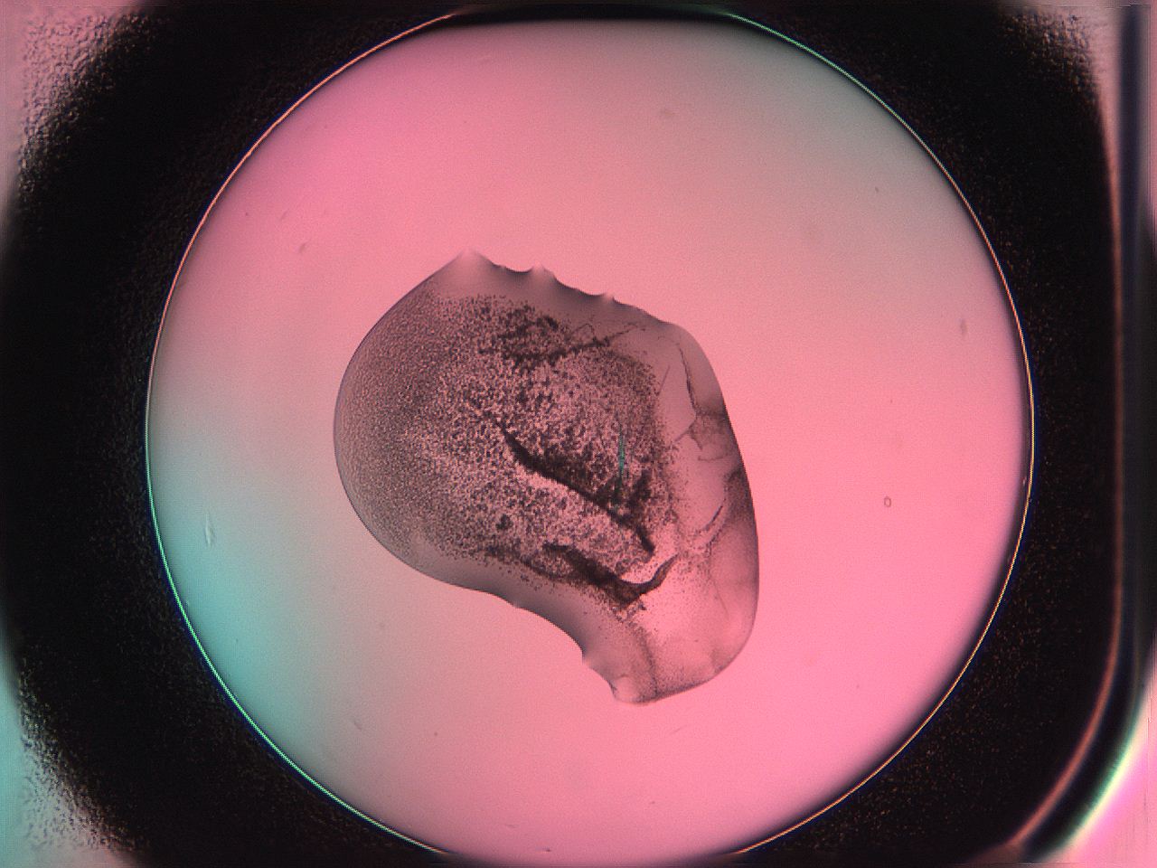 05dr_B7_ImagerDefaults_7.jpg