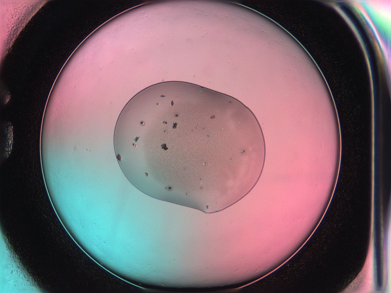 05dr_G1_ImagerDefaults_6.jpg