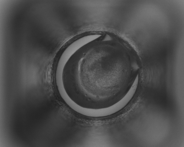 X0000044230829200501101636.png