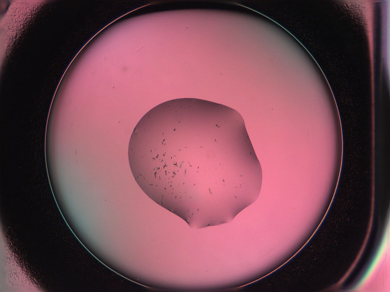 05dr_C3_ImagerDefaults_6.jpg