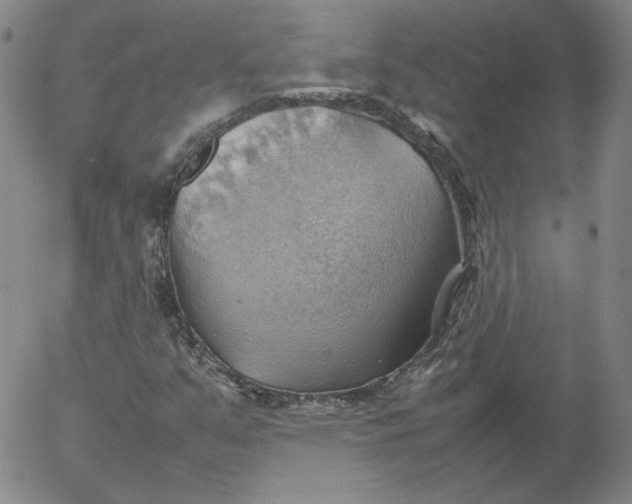 X0000054651351200508091631.png