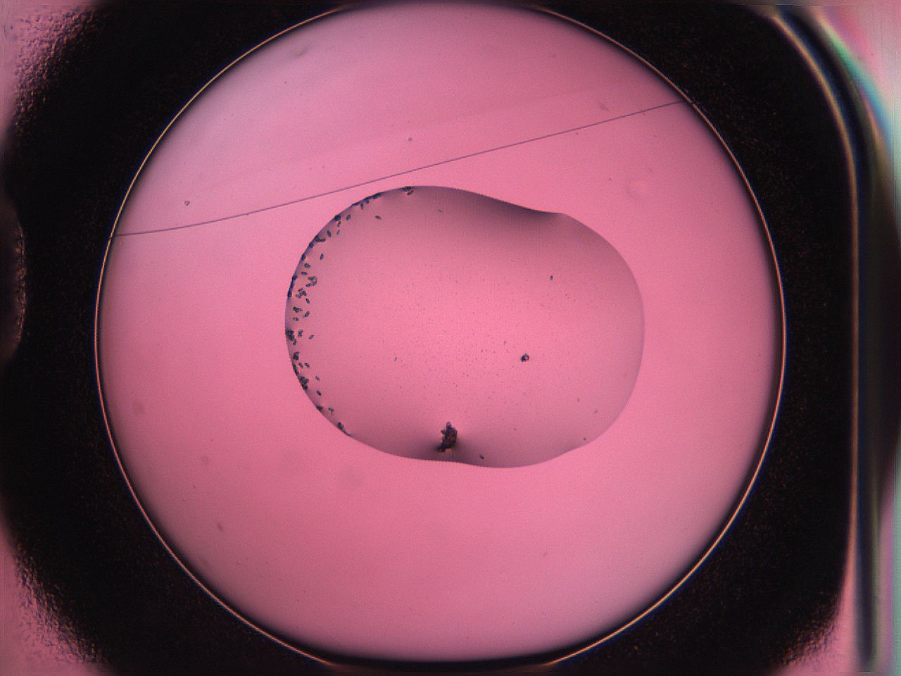 05dr_D1_ImagerDefaults_6.jpg